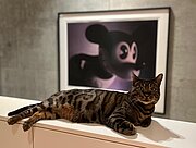 Katz & Maus (Foto © Frau Elfriede M., Bildbesitzerin der Kunstgrafik Lila-Rose Mouse von Gottfried Helnwein)